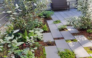 Moderner Innenhof mit Plattenbelag und integrierter naturnaher Bepflanzung